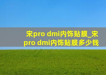 宋pro dmi内饰贴膜_宋pro dmi内饰贴膜多少钱